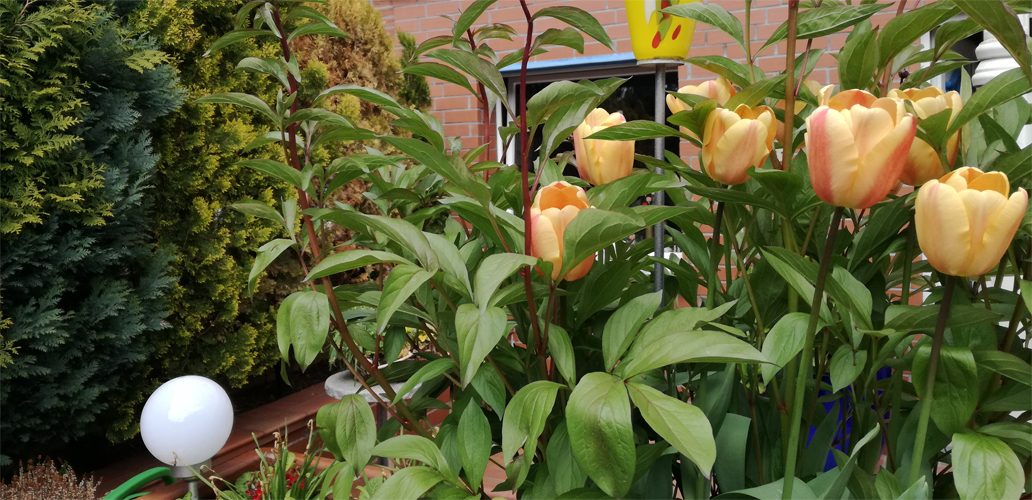 Hauseingang Reservierung